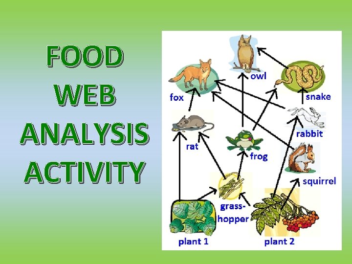 FOOD WEB ANALYSIS ACTIVITY 