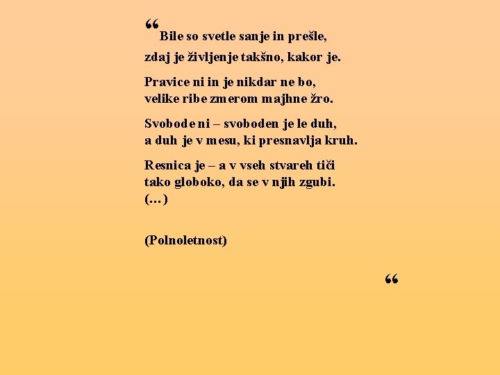 “Bile so svetle sanje in prešle, zdaj je življenje takšno, kakor je. Pravice ni