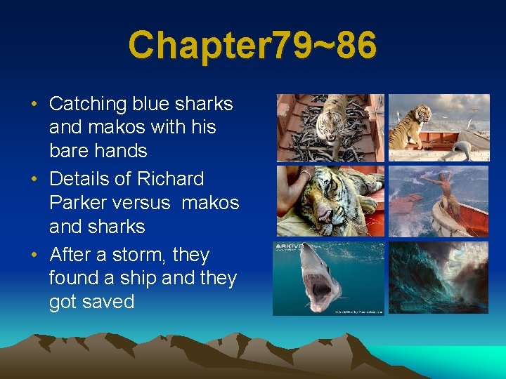 Chapter 79~86 • Catching blue sharks and makos with his bare hands • Details