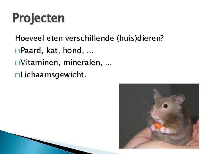 Projecten Hoeveel eten verschillende (huis)dieren? � Paard, kat, hond, . . . � Vitaminen,