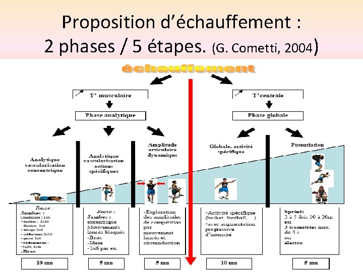 Proposition d’échauffement : 2 phases / 5 étapes. (G. Cometti, 2004) 