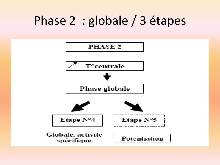 Phase 2 : globale / 3 étapes 