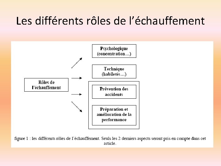 Les différents rôles de l’échauffement 