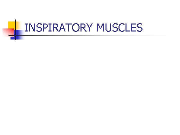 INSPIRATORY MUSCLES 