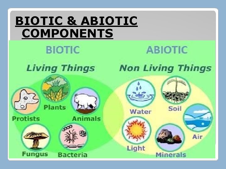 BIOTIC & ABIOTIC COMPONENTS 