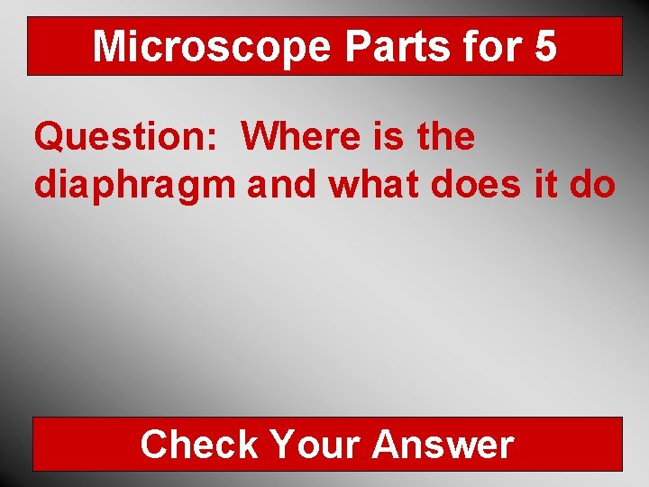 Microscope Parts for 5 Question: Where is the diaphragm and what does it do