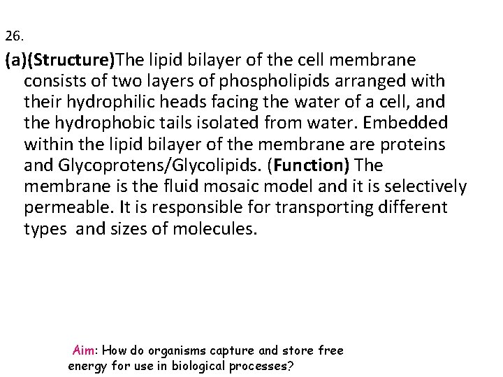 26. (a)(Structure)The lipid bilayer of the cell membrane consists of two layers of phospholipids