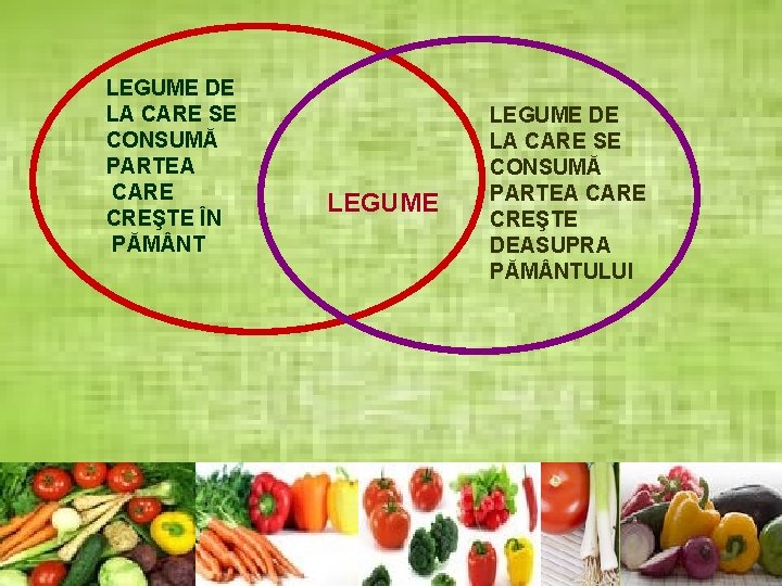 LEGUME DE LA CARE SE CONSUMĂ PARTEA CARE CREŞTE ÎN PĂM NT LEGUME DE