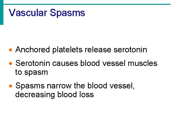 Vascular Spasms · Anchored platelets release serotonin · Serotonin causes blood vessel muscles to