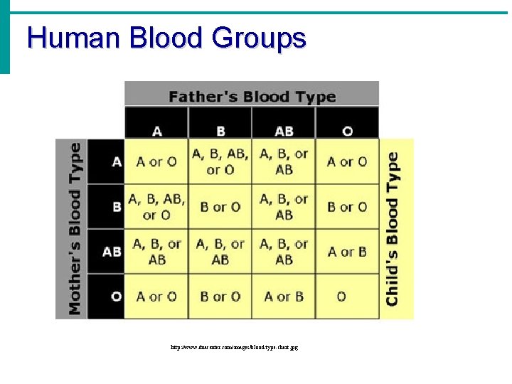 Human Blood Groups http: //www. dnacenter. com/images/blood-type-chart. jpg 