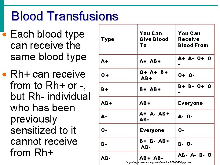 Blood Transfusions · Each blood type can receive the same blood type · Rh+