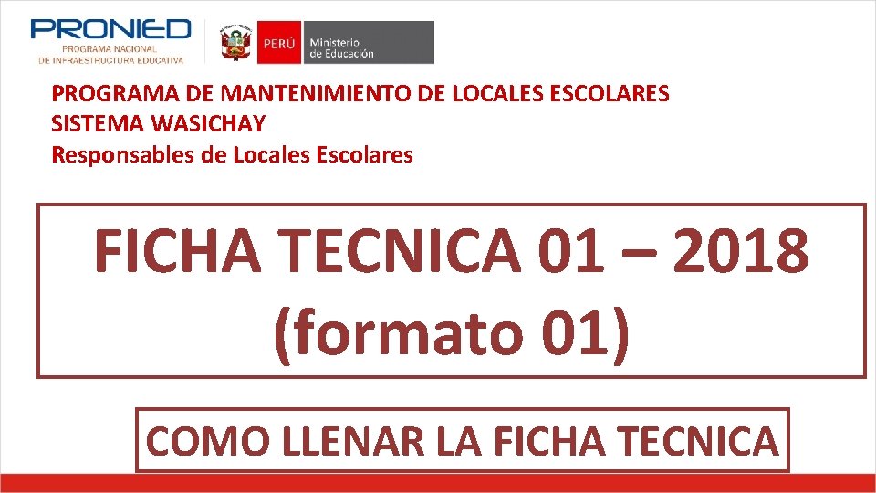 PROGRAMA DE MANTENIMIENTO DE LOCALES ESCOLARES SISTEMA WASICHAY Responsables de Locales Escolares FICHA TECNICA