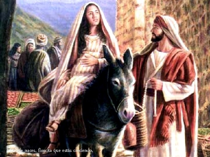 Dónde naces, florcita que estás creciendo, 