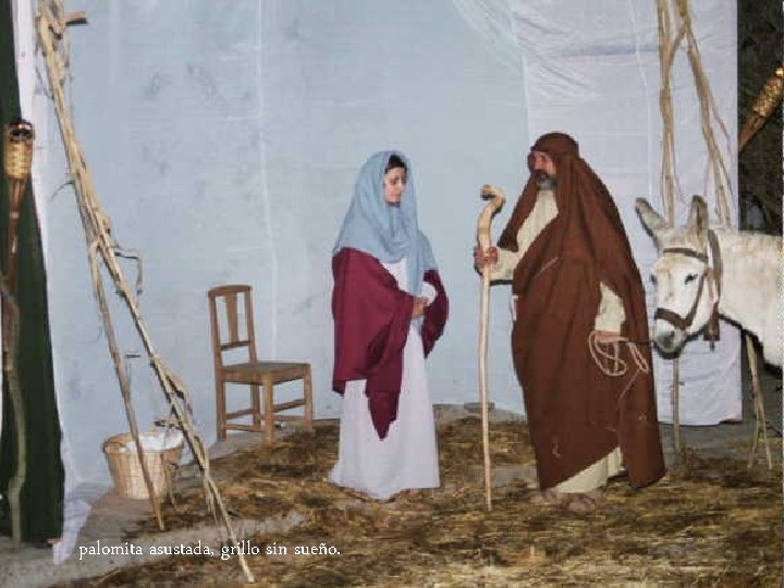 palomita asustada, grillo sin sueño. 