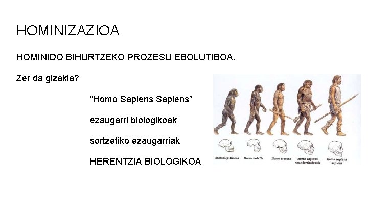 HOMINIZAZIOA HOMINIDO BIHURTZEKO PROZESU EBOLUTIBOA. Zer da gizakia? “Homo Sapiens” ezaugarri biologikoak sortzetiko ezaugarriak HOMINIZAZIOA HOMINIDO BIHURTZEKO PROZESU EBOLUTIBOA. Zer da gizakia? “Homo Sapiens” ezaugarri biologikoak sortzetiko ezaugarriak
