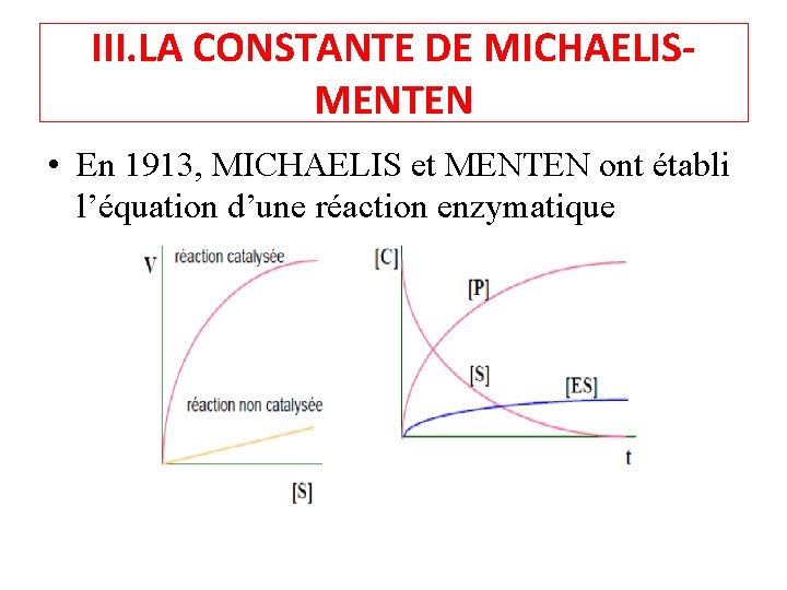 III. LA CONSTANTE DE MICHAELISMENTEN • En 1913, MICHAELIS et MENTEN ont établi l’équation