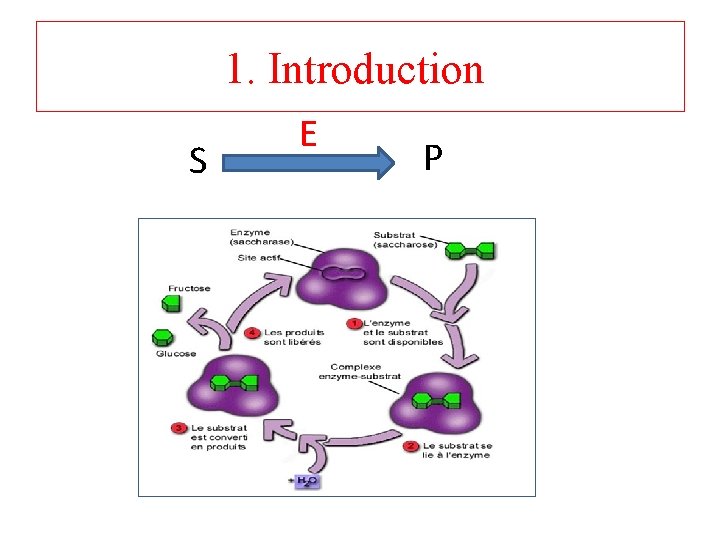 1. Introduction S E P 