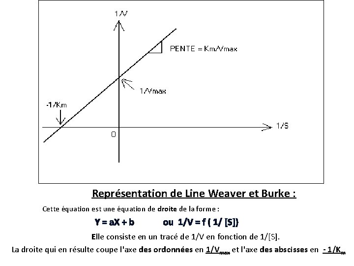  Représentation de Line Weaver et Burke : Cette équation est une équation de