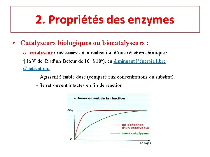 2. Propriétés des enzymes • Catalyseurs biologiques ou biocatalyseurs : o catalyseur : nécessaires