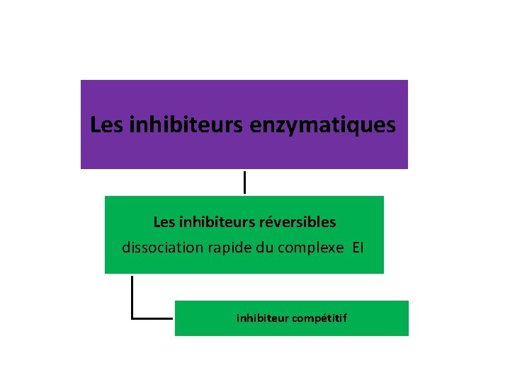 Les inhibiteurs enzymatiques Les inhibiteurs réversibles dissociation rapide du complexe EI inhibiteur compétitif 