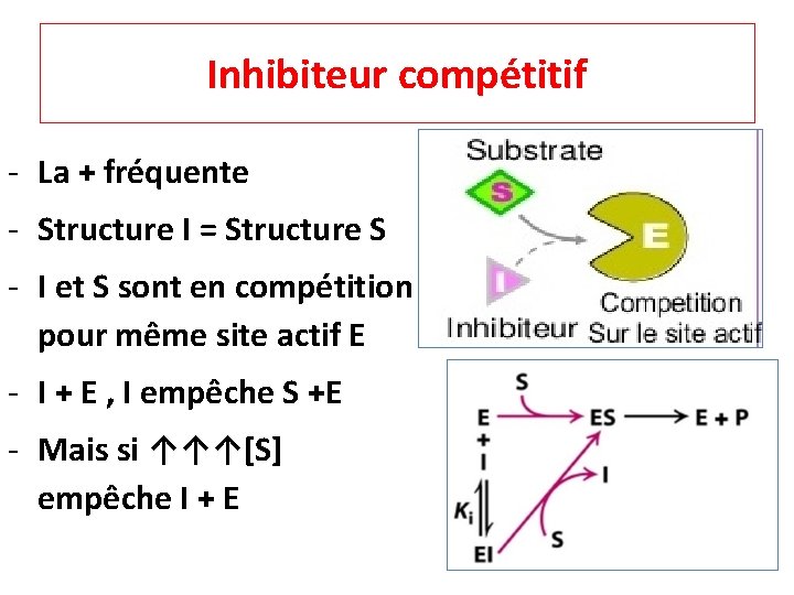 Inhibiteur compétitif ‐ La + fréquente ‐ Structure I = Structure S ‐ I