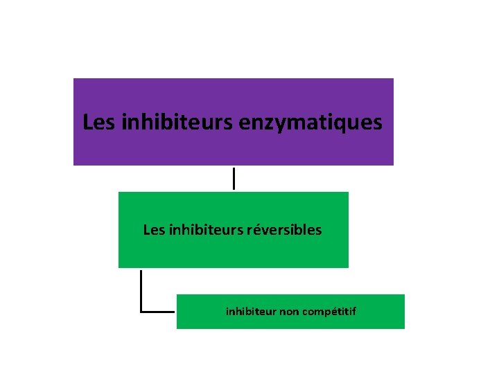 Les inhibiteurs enzymatiques Les inhibiteurs réversibles inhibiteur non compétitif 