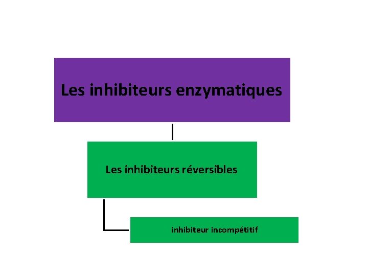 Les inhibiteurs enzymatiques Les inhibiteurs réversibles inhibiteur incompétitif 