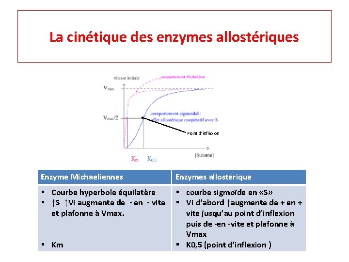 La cinétique des enzymes allostériques Point d’inflexion Enzyme Michaeliennes Enzymes allostérique § Courbe hyperbole