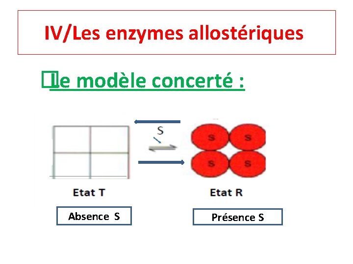 IV/Les enzymes allostériques � Le modèle concerté : Absence S Présence S 