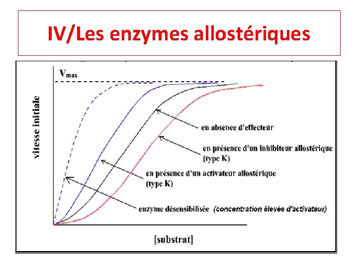 IV/Les enzymes allostériques 
