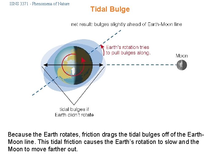 ISNS 3371 - Phenomena of Nature Tidal Bulge Because the Earth rotates, friction drags