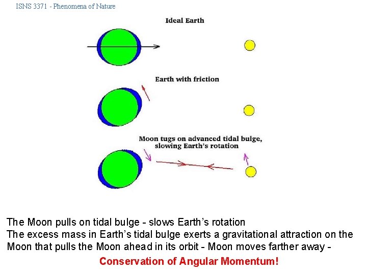 ISNS 3371 - Phenomena of Nature The Moon pulls on tidal bulge - slows
