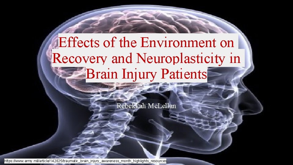 Effects of the Environment on Recovery and Neuroplasticity in Brain Injury Patients Rebekkah Mc.