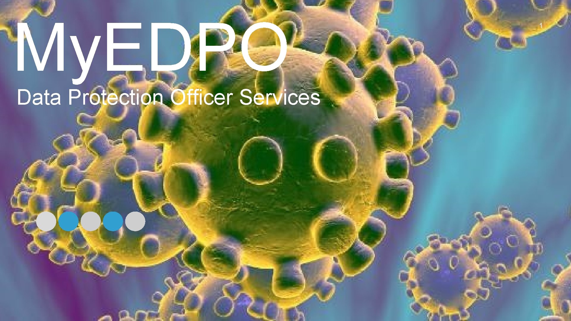 My. EDPO Data Protection Officer Services 1 