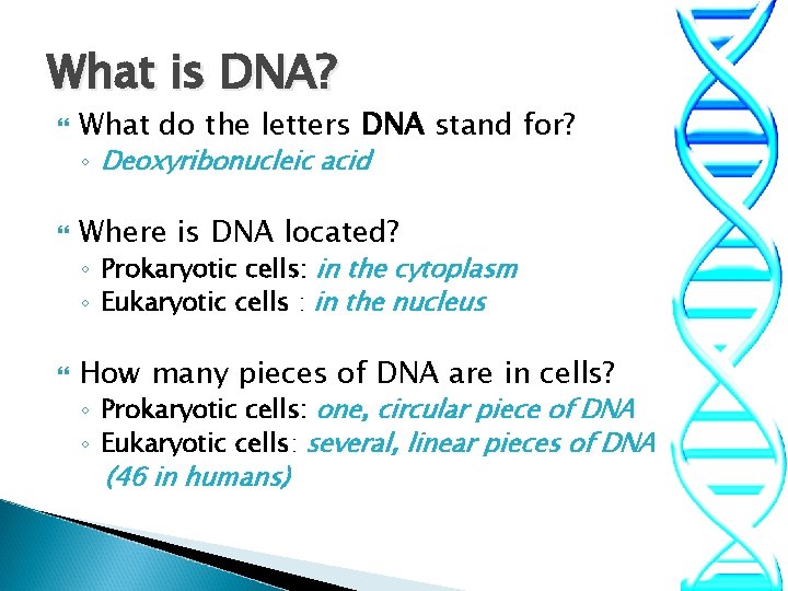 What is DNA? What do the letters DNA stand for? ◦ Deoxyribonucleic acid Where