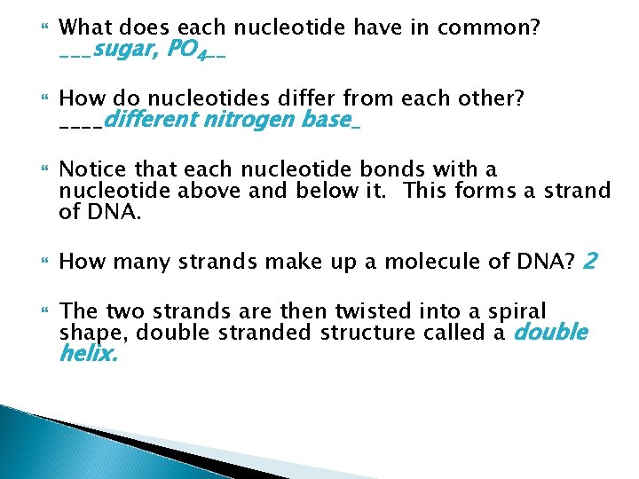  What does each nucleotide have in common? ___sugar, PO 4__ How do nucleotides
