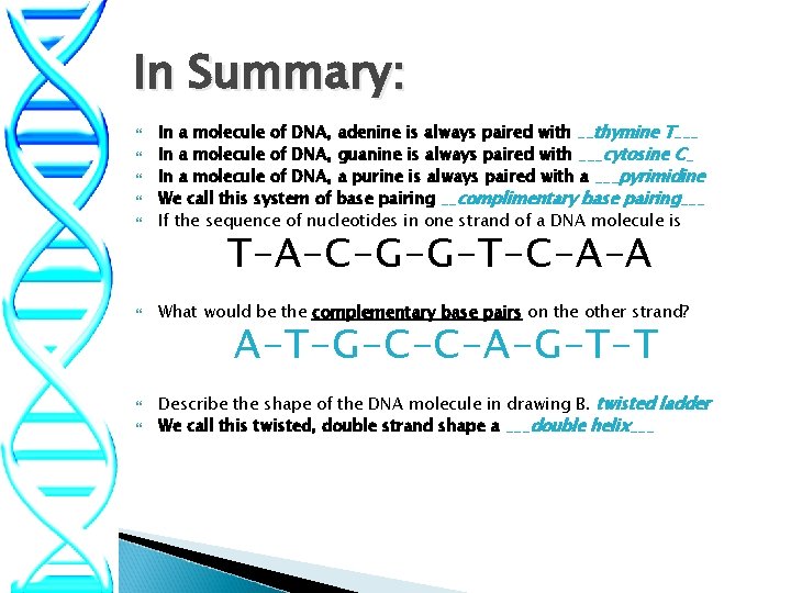 In Summary: In a molecule of DNA, adenine is always paired with __thymine T___