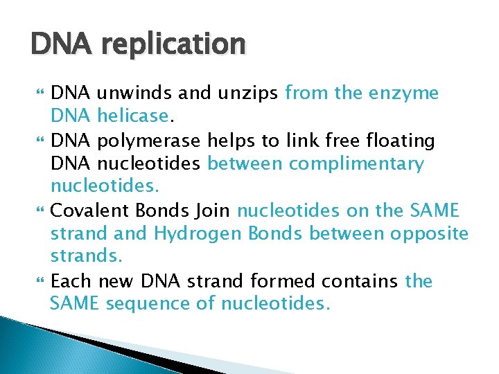 DNA replication DNA unwinds and unzips from the enzyme DNA helicase. DNA polymerase helps