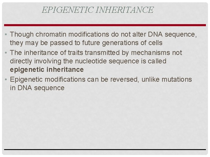 EPIGENETIC INHERITANCE • Though chromatin modifications do not alter DNA sequence, they may be