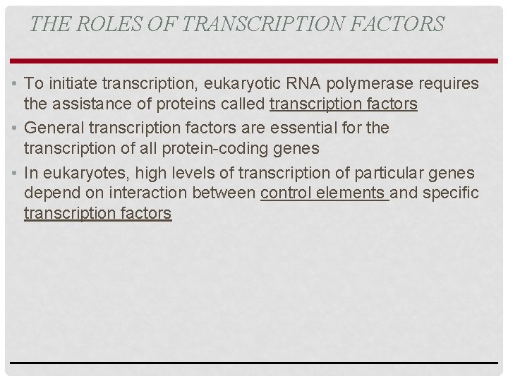 THE ROLES OF TRANSCRIPTION FACTORS • To initiate transcription, eukaryotic RNA polymerase requires the