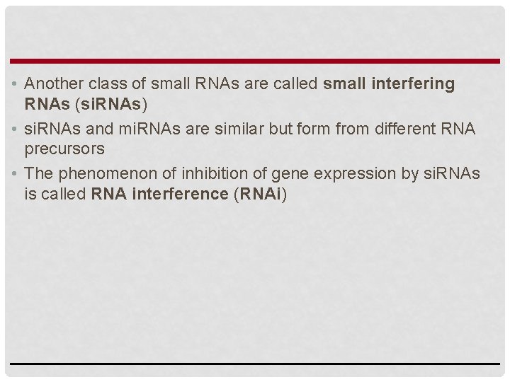  • Another class of small RNAs are called small interfering RNAs (si. RNAs)