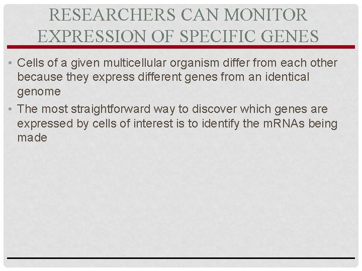 RESEARCHERS CAN MONITOR EXPRESSION OF SPECIFIC GENES • Cells of a given multicellular organism