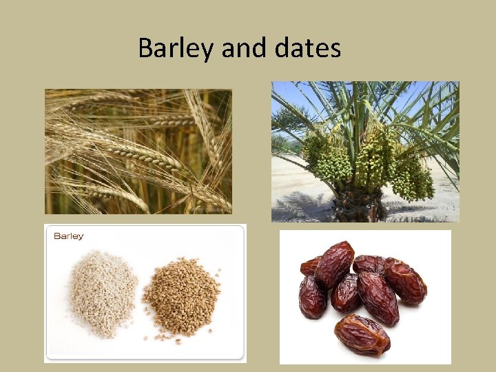 Barley and dates Barley and dates