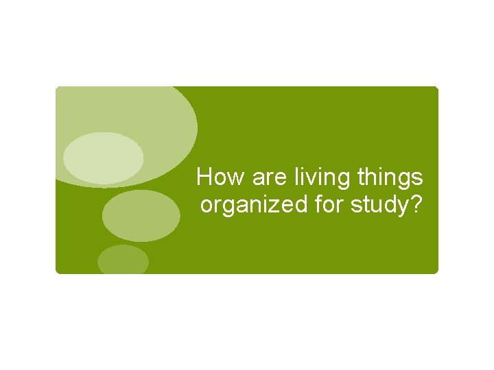 How are living things organized for study? 