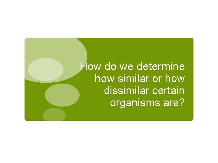 How do we determine how similar or how dissimilar certain organisms are? 