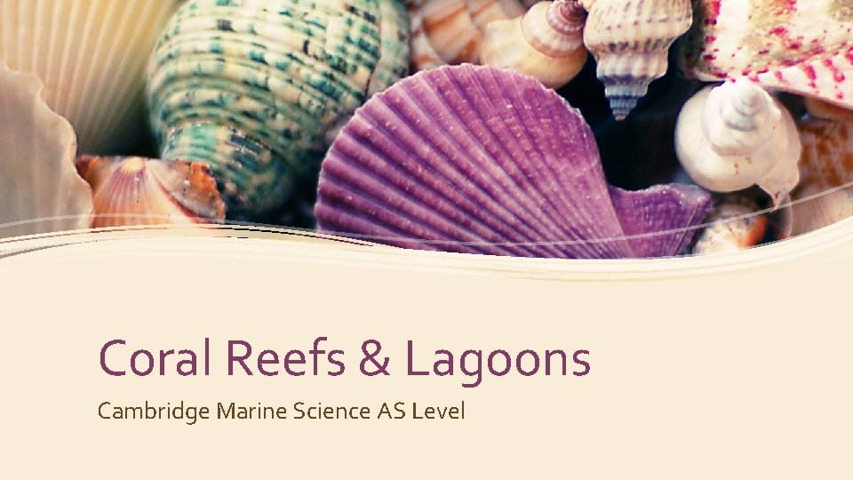 Coral Reefs & Lagoons Cambridge Marine Science AS Level 