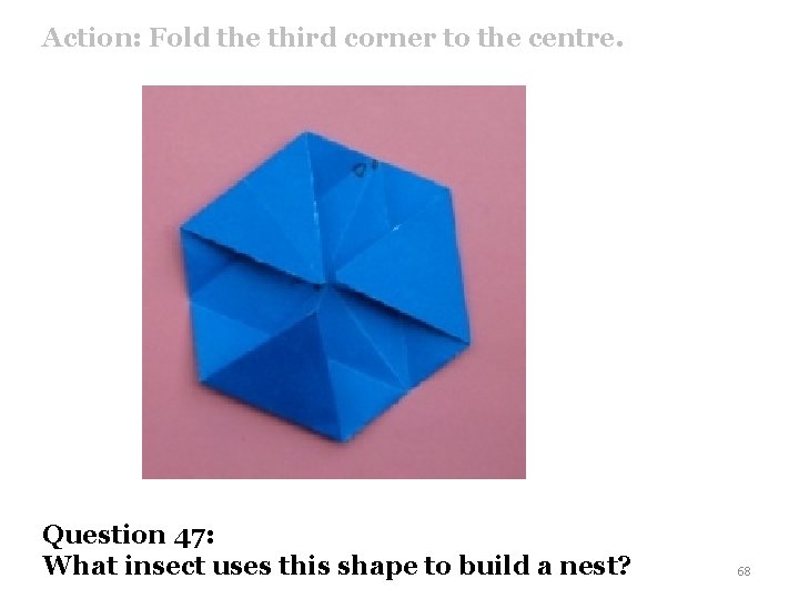 Action: Fold the third corner to the centre. Question 47: What insect uses this
