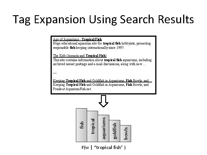 Tag Expansion Using Search Results Age of Aquariums - Tropical Fish Huge educational aquarium