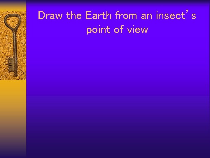 Draw the Earth from an insect’s point of view 