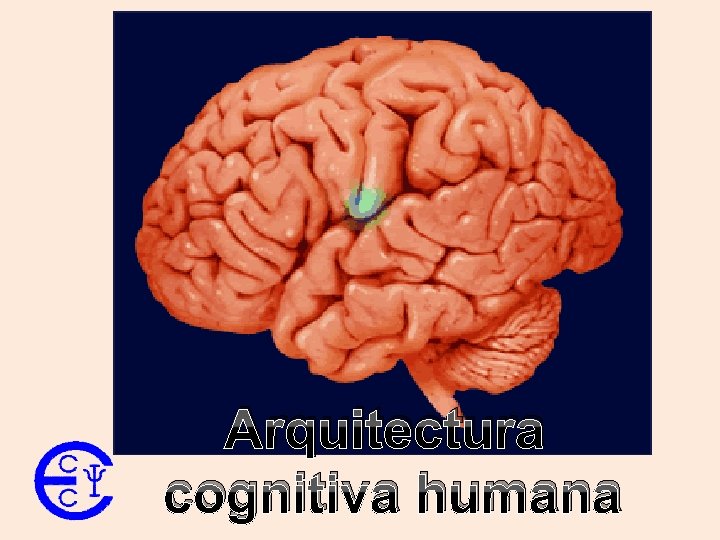 Arquitectura cognitiva humana Arquitectura cognitiva humana